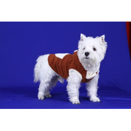 Doggy Dolly 2 legs hoodie коричневый