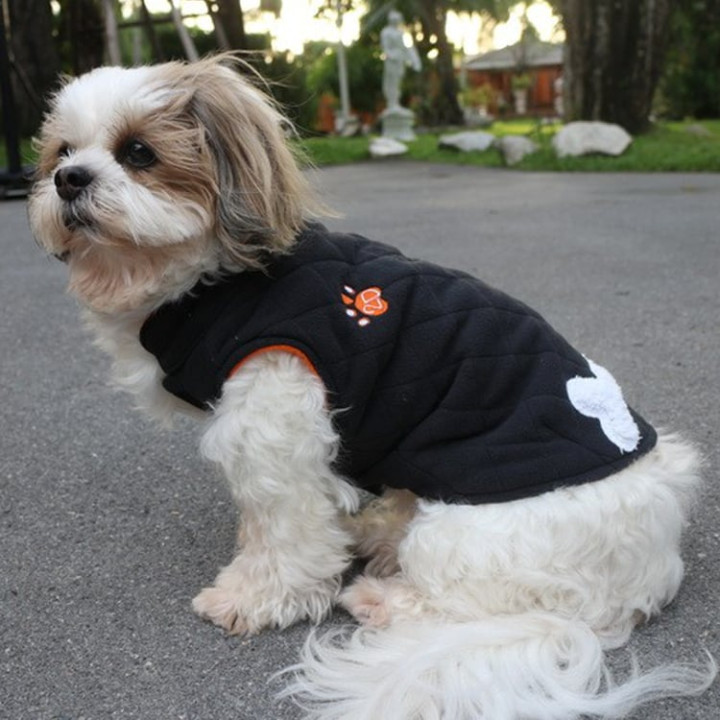 Doggy Dolly Winter coat & Pullovers