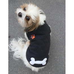 Doggy Dolly Winter coat & Pullovers