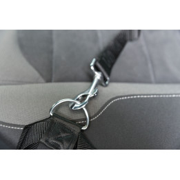 Safety Belt