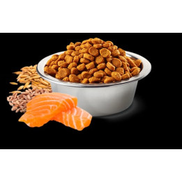 Salmon, spelt, oats and tropical fruits Adult Medium & Maxi