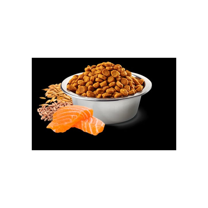 Salmon, spelt, oats and tropical fruits Adult Medium & Maxi