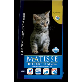 KITTEN 1-12 MONTHS