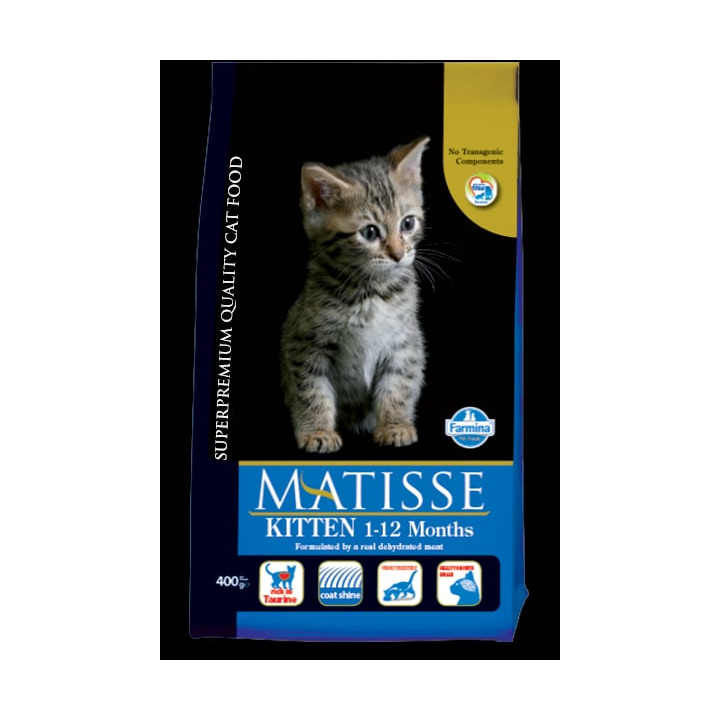 KITTEN 1-12 MONTHS