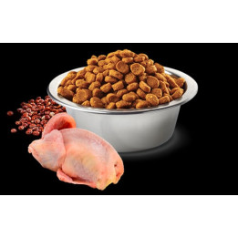 Skin & Coat Quail