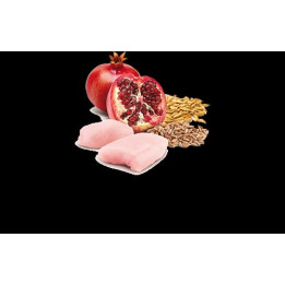 Chicken & Pomegranate Wet Food