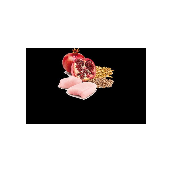 Chicken & Pomegranate Wet Food