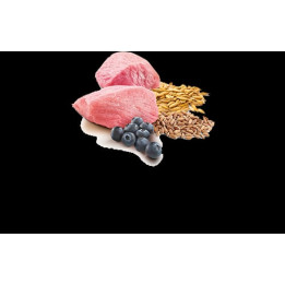 Lamb & Blueberry Adult Wet Food