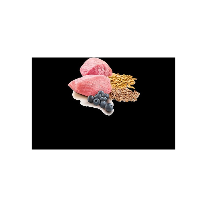 Lamb & Blueberry Adult Wet Food