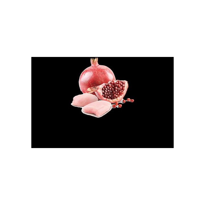 Chicken & Pomegranate Puppy wet food