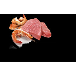 Tuna & Shrimp Adult wet food