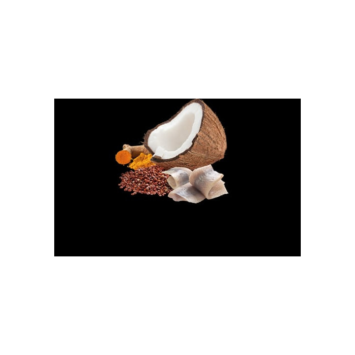Skin & Coat - Herring & Coconut wet food