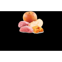 Boar, Pumpkin & Apple wet food