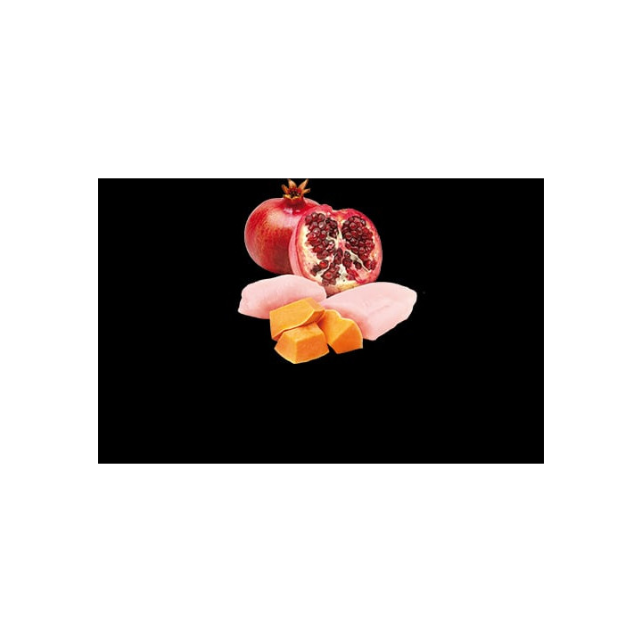 Chicken, Pumpkin & Pomegranate wet food