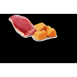 Duck & Pumpkin wet food
