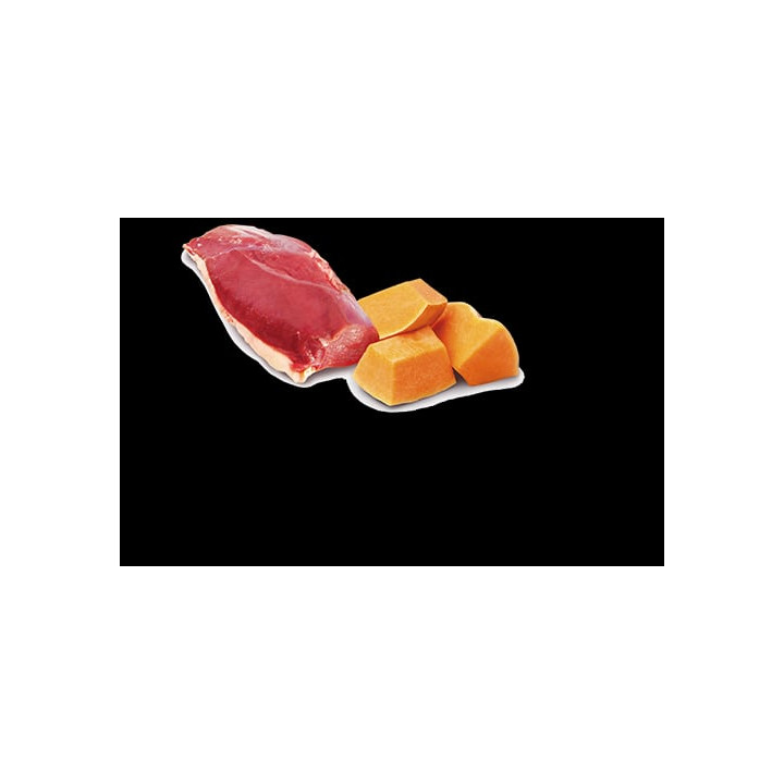 Duck & Pumpkin wet food