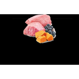 Lamb, Pumpkin & Blueberry wet food