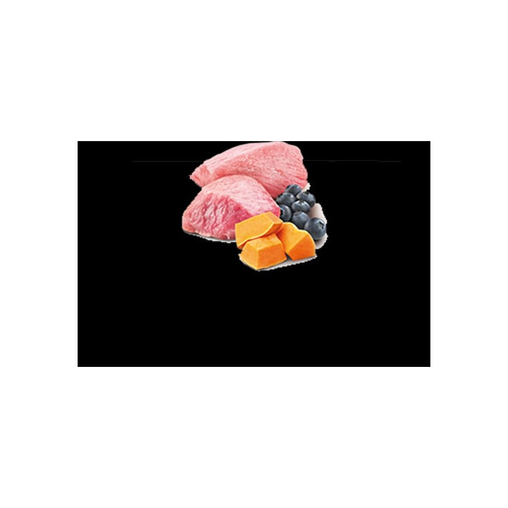 Lamb, Pumpkin & Blueberry Puppy Mini wet food