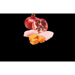 Chicken, Pumpkin & Pomegranate Adult Mini wet food