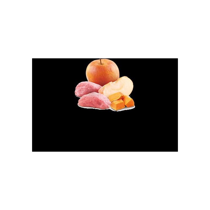 Boar, Pumpkin & Apple Adult Mini wet food