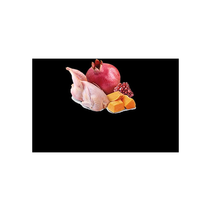 Quail & Pumpkin Adult Mini wet food