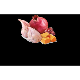 Quail & Pumpkin Adult wet food