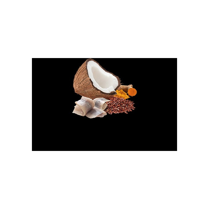 Skin & Coat - Herring & Coconut wet food