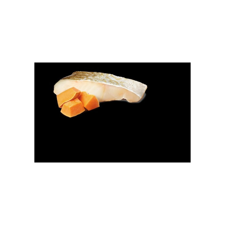 Cod & Pumpkin Puppy Mini Wet Food