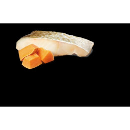 Cod & Pumpkin Adult Mini Wet Food
