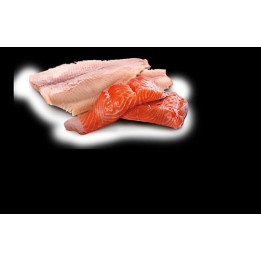Trout & Salmon Adult Mini Wet Food