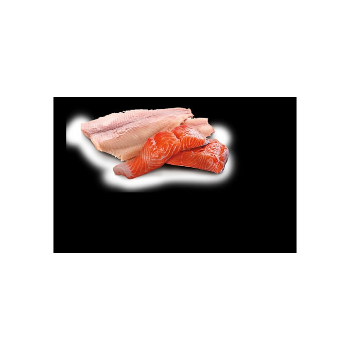 Trout & Salmon Wet Food