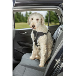 Car Harness Comfort