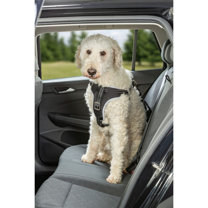 Car Harness Comfort