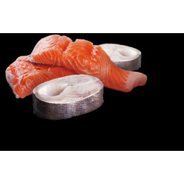 Salmon & Cod Wet Food