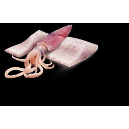 Sea Bass & Squid Wet Food