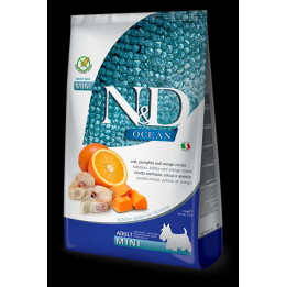 Cod, Pumpkin & Orange Adult Mini