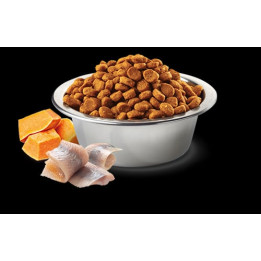 Cod, Pumpkin & Orange Adult Mini