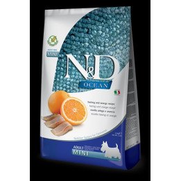 Herring & Orange Adult Mini