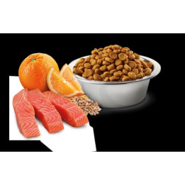 Neutered, Salmon Adult