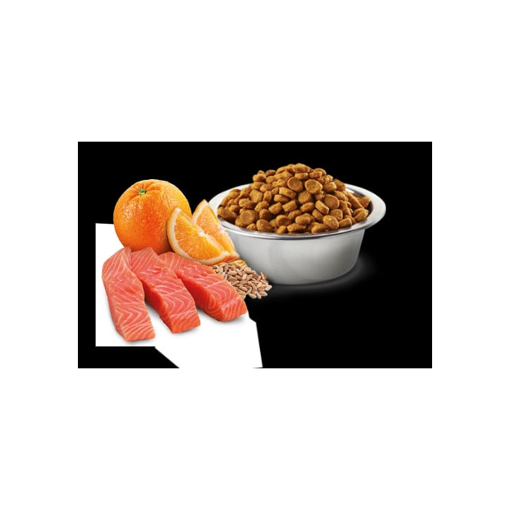 Neutered, Salmon Adult