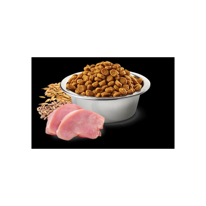NEUTERED – Hindi, kılçıksız buğday, yulaf ve nar