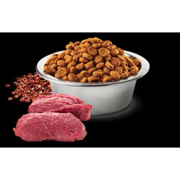 Skin & Coat Venison Mini
