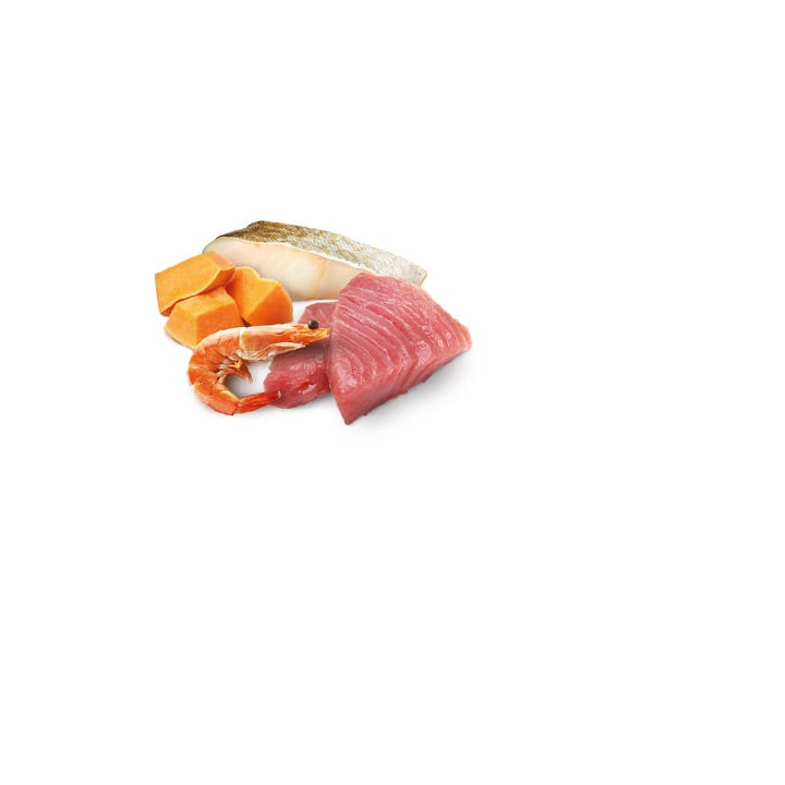 Tuna, Cod, Shrimp & Pumpkin Adult wet food