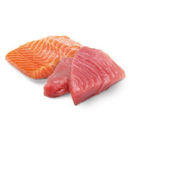 Tuna & Salmon Adult wet food