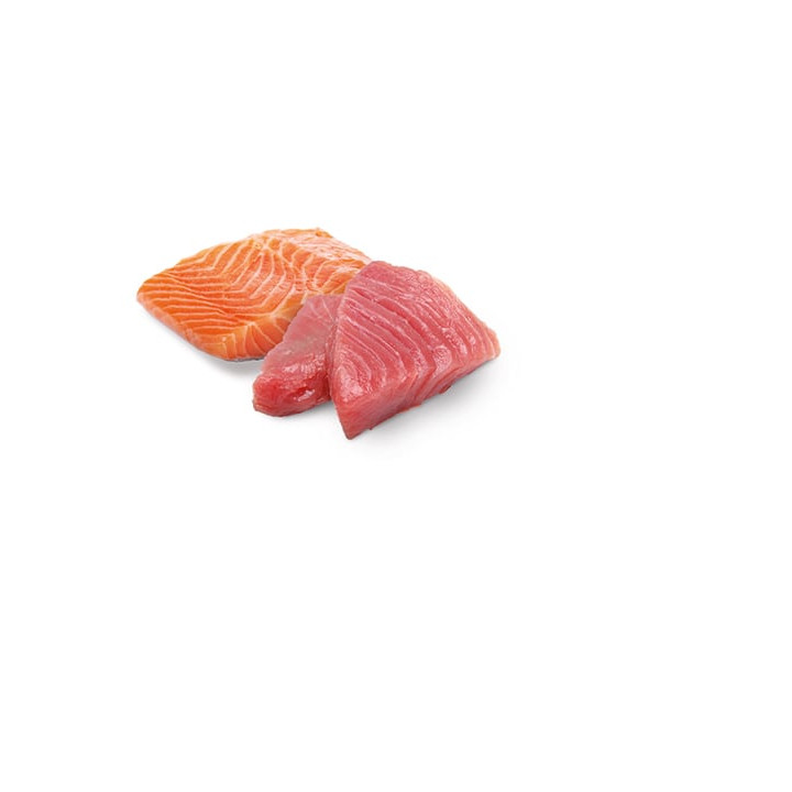 Tuna & Salmon Adult wet food