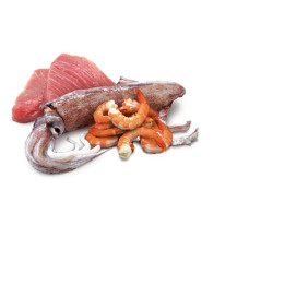 Tuna, Squid & Shrimp Adult wet food