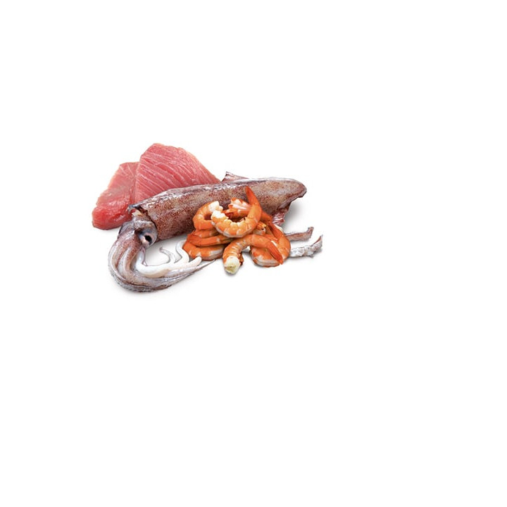Tuna, Squid & Shrimp Adult wet food
