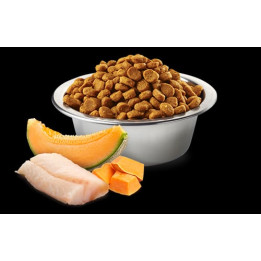 Cod, Pumpkin and Cantaloupe Melon Puppy Mini