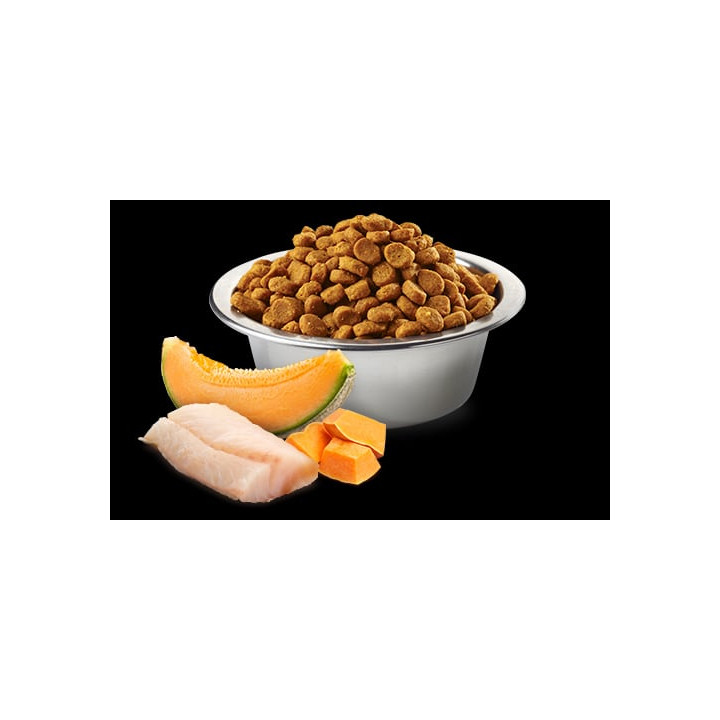 Cod, Pumpkin and Cantaloupe Melon Puppy Medium & Maxi