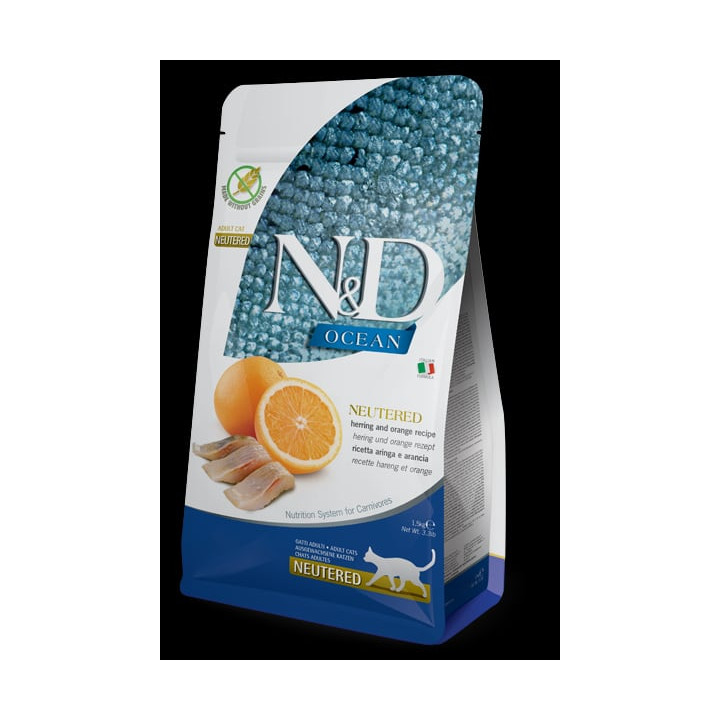 Neutered, Herring & Orange Adult